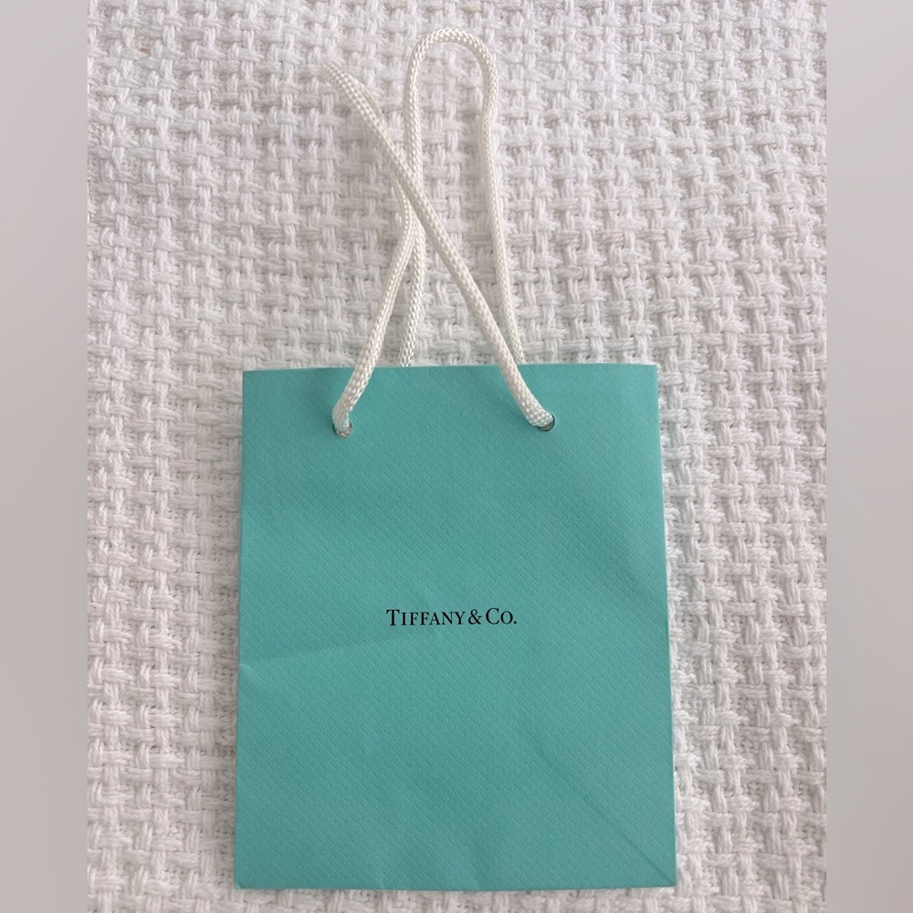 Tiffany & Co Small Shopping Bag
